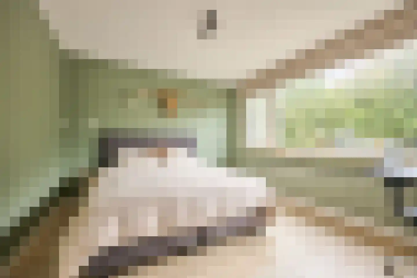 Ceresstraat 24 Oudorp thumbnail 34