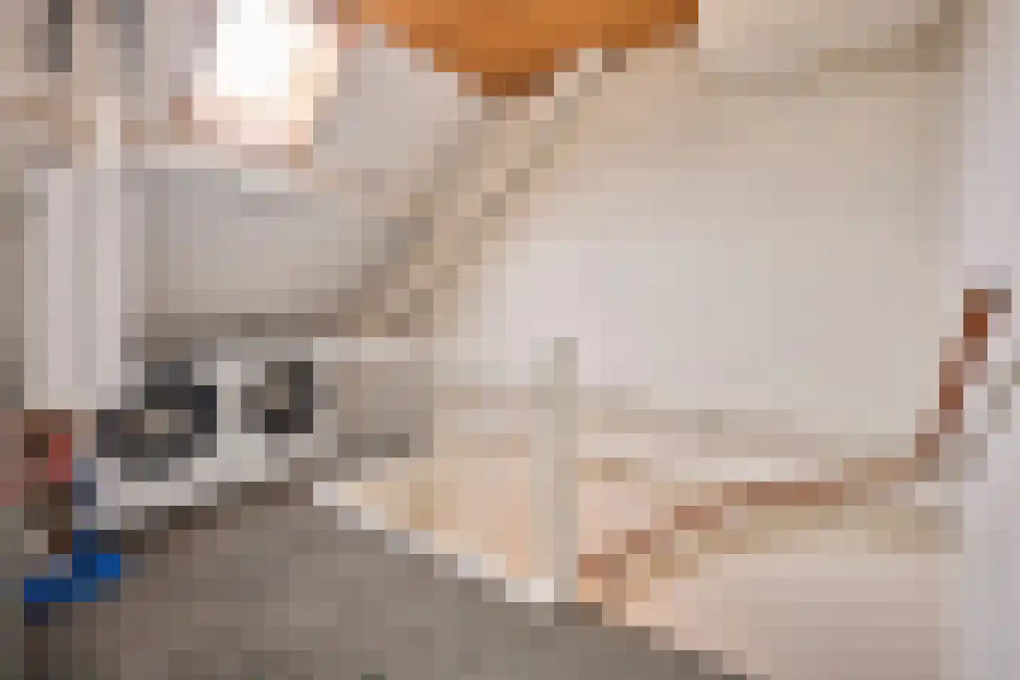 Ceresstraat 24 Oudorp thumbnail 37