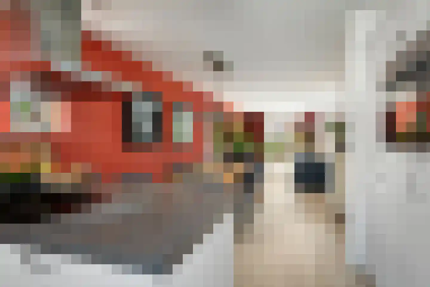 Ceresstraat 26 Berkel en Rodenrijs thumbnail 17