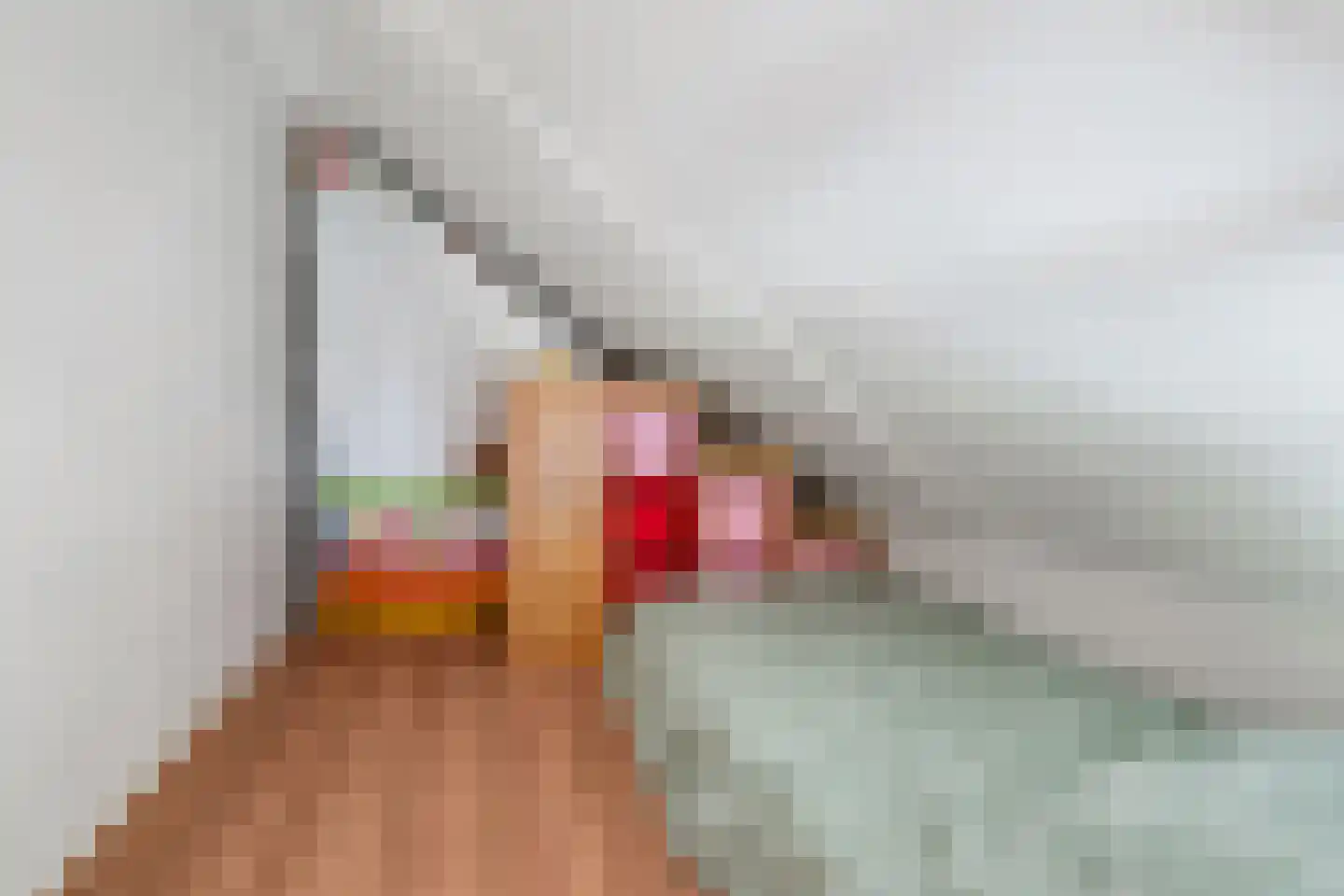 Ceresstraat 26 Berkel en Rodenrijs thumbnail 32