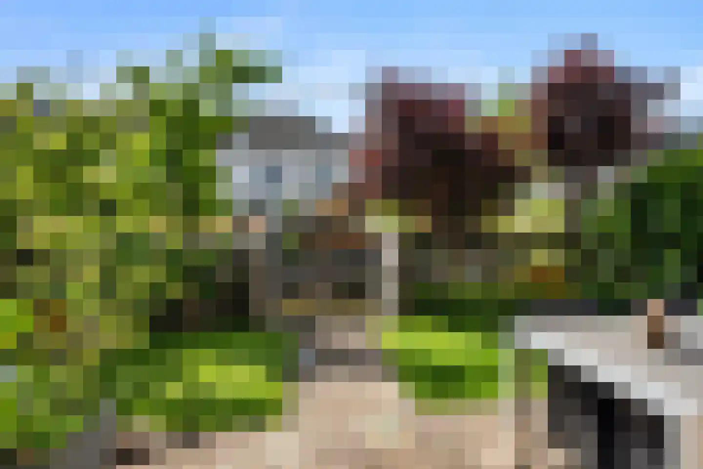 Ceresstraat 26 Berkel en Rodenrijs thumbnail 37