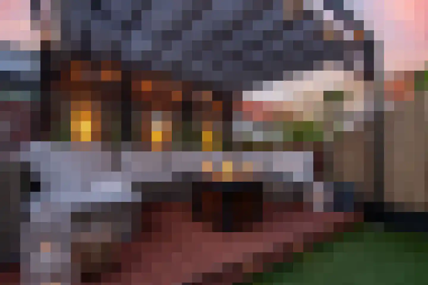 Ceresstraat 45 Berkel en Rodenrijs thumbnail 22