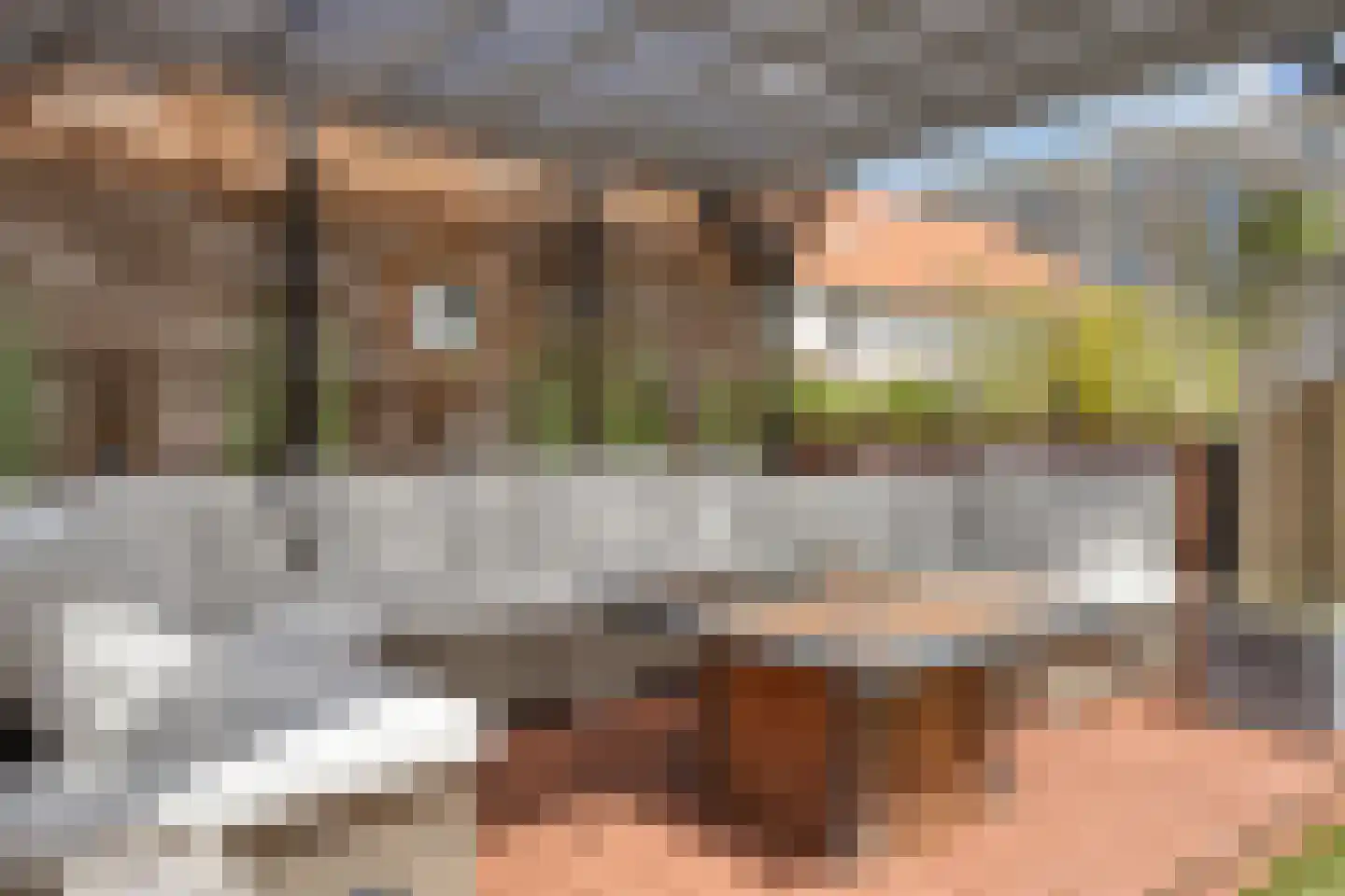 Ceresstraat 45 Berkel en Rodenrijs thumbnail 4