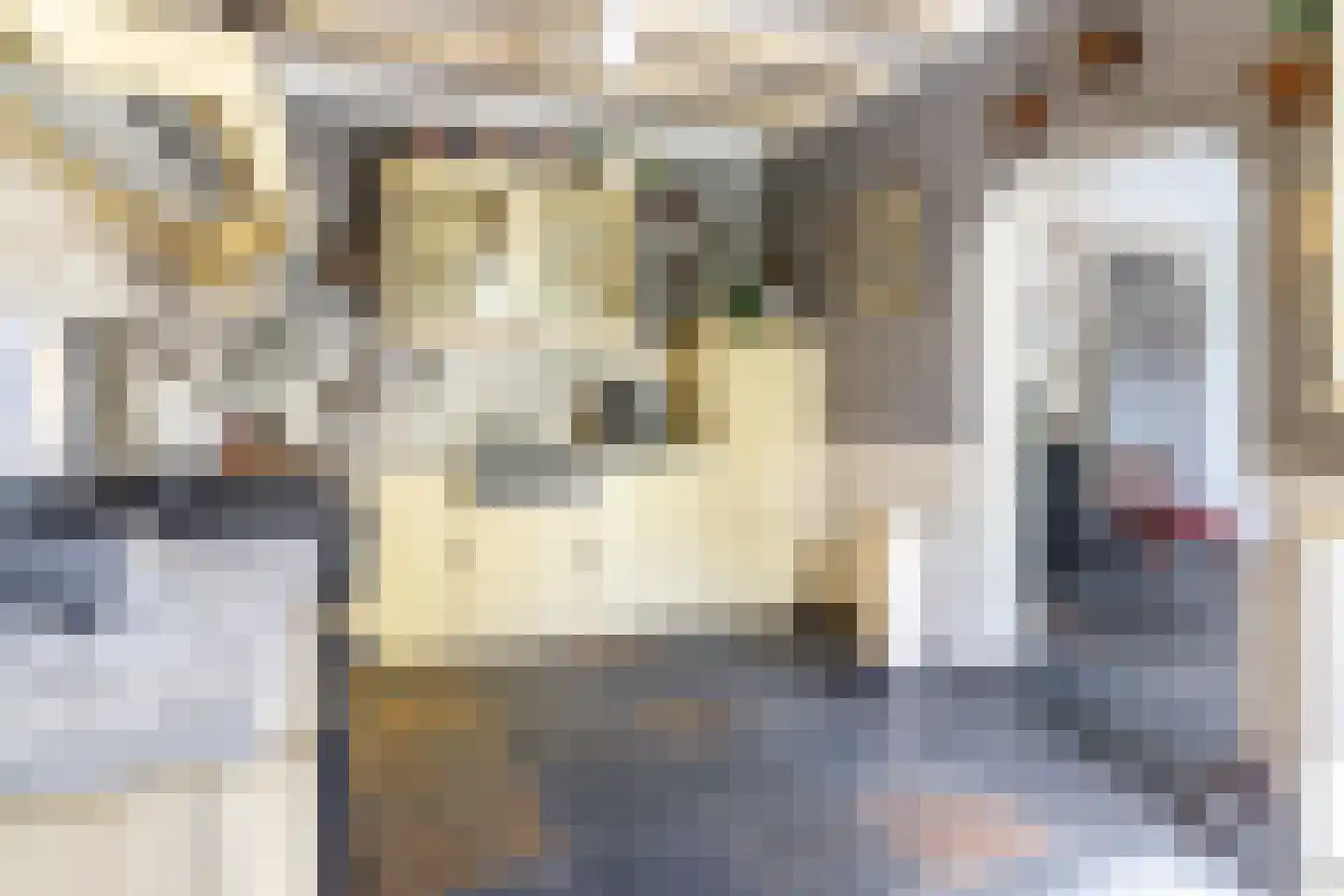 Ceresweg 9 Bergen L thumbnail 15