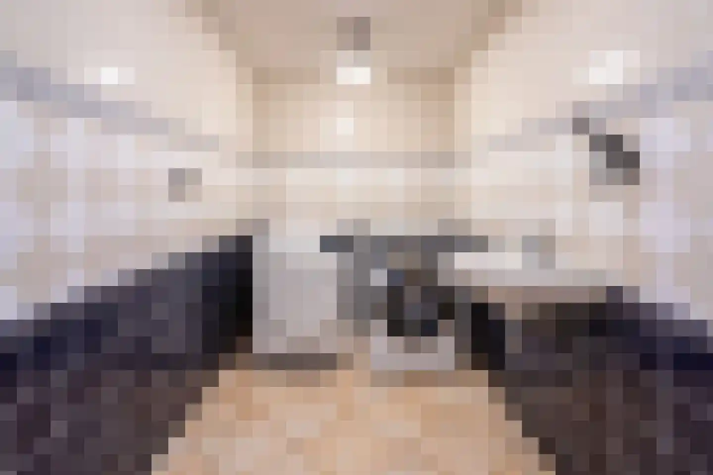 Ceresweg 9 Bergen L thumbnail 20