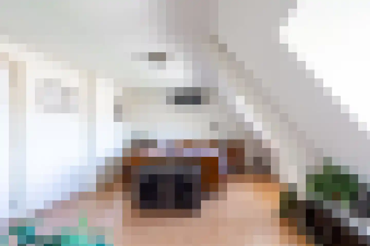 Ceresweg 9 Bergen L thumbnail 25
