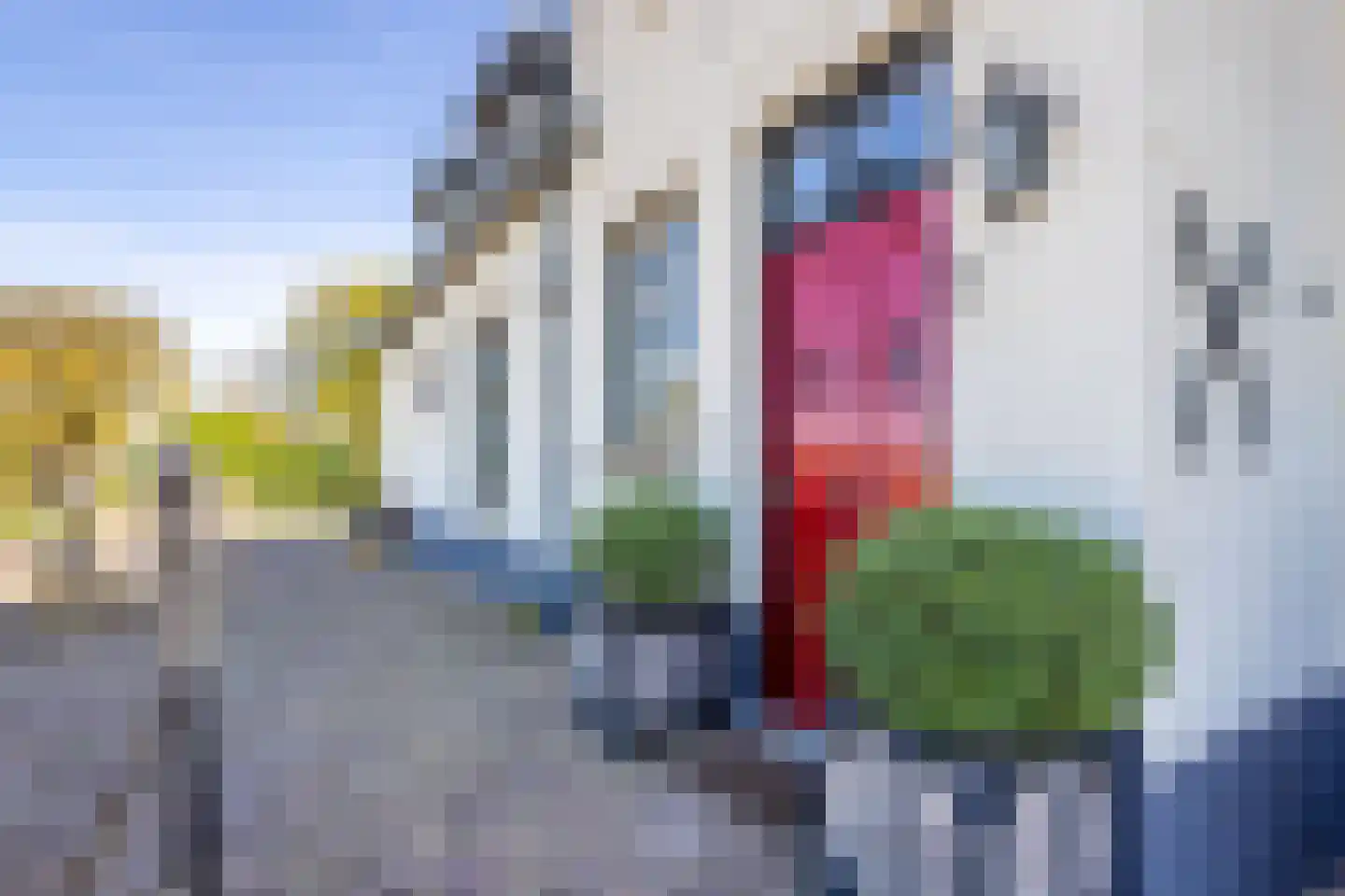 Ceresweg 9 Bergen L thumbnail 48