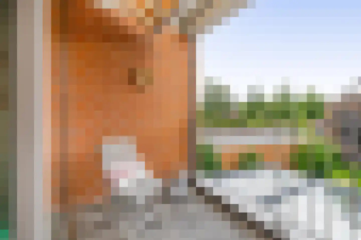 Cerise 3 Wageningen thumbnail 27