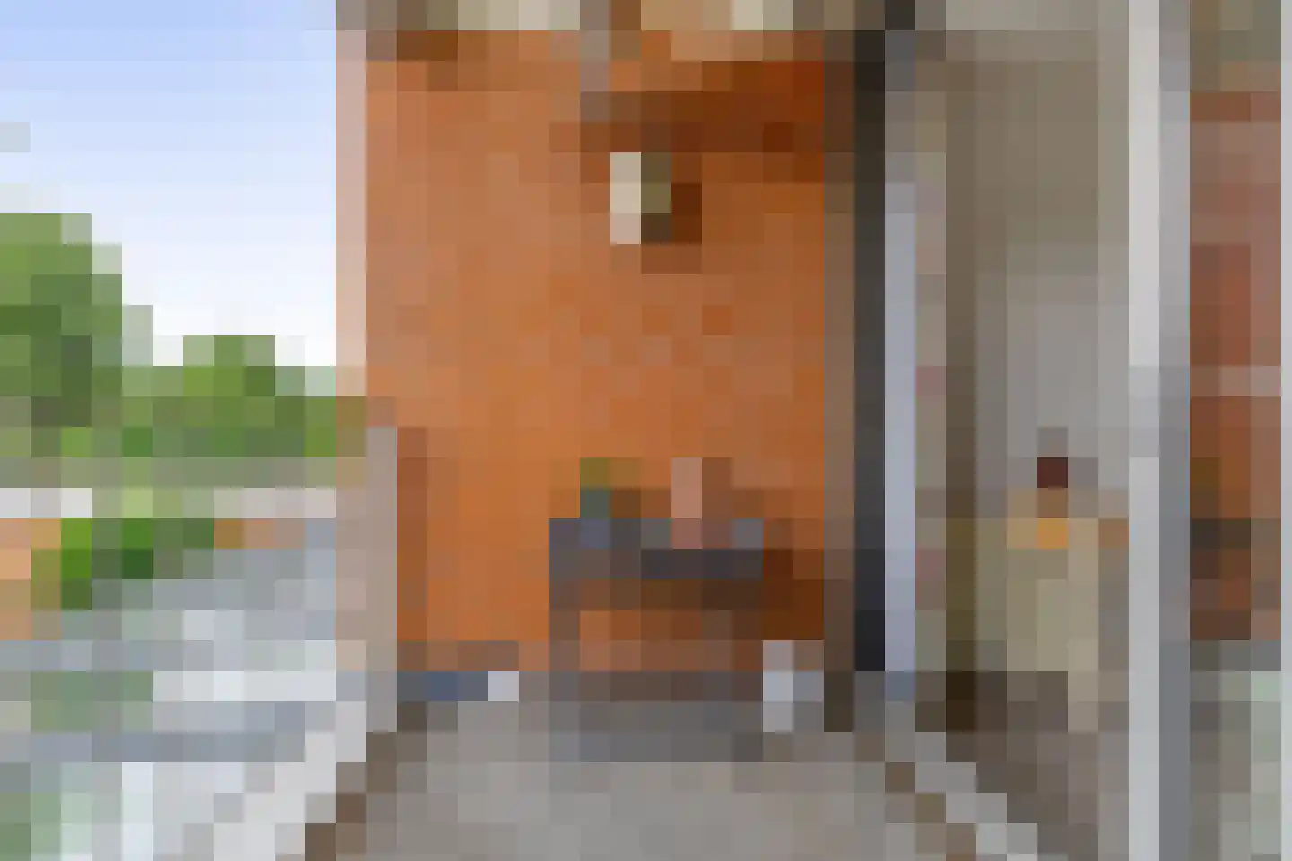 Cerise 3 Wageningen thumbnail 28