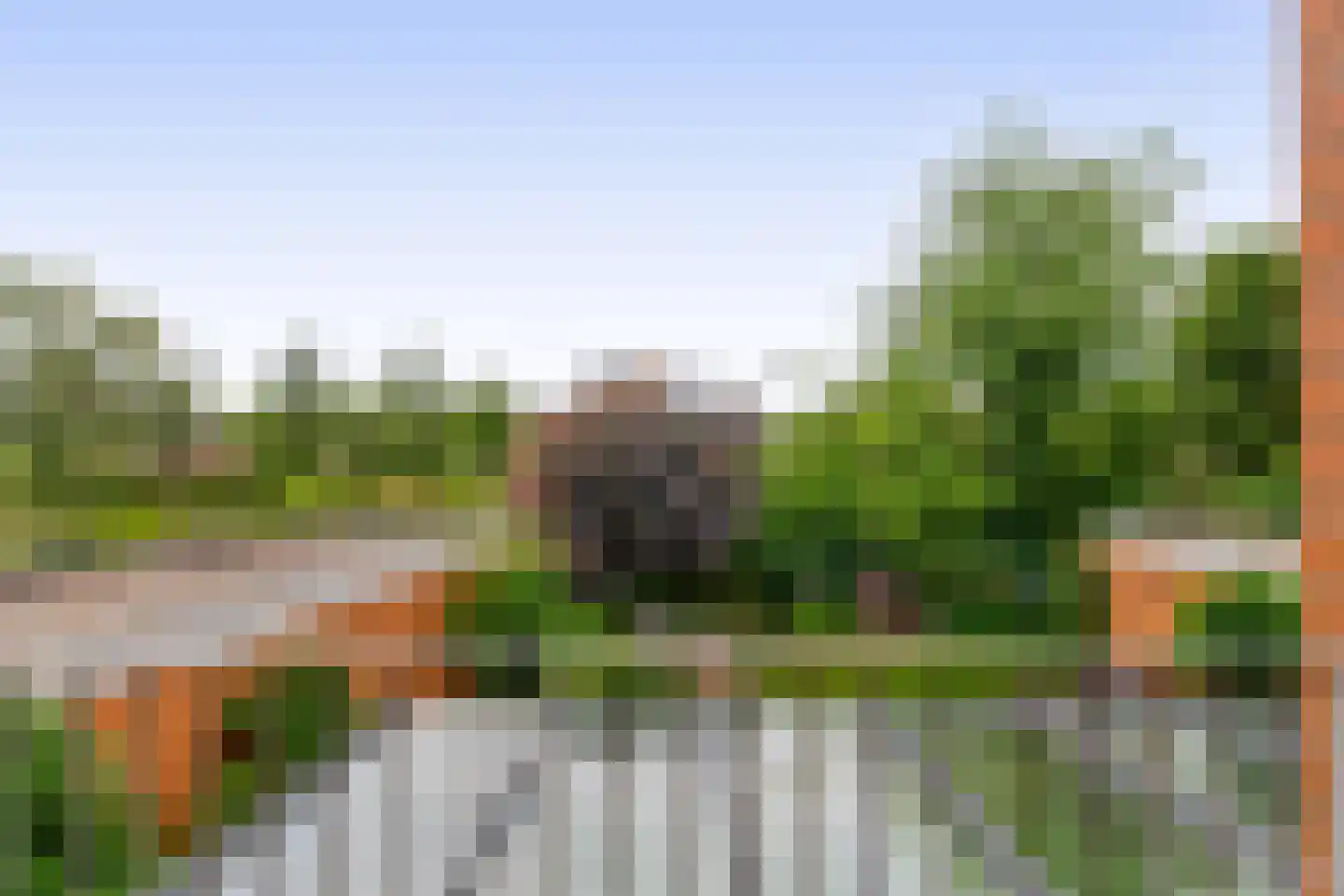 Cerise 3 Wageningen thumbnail 29