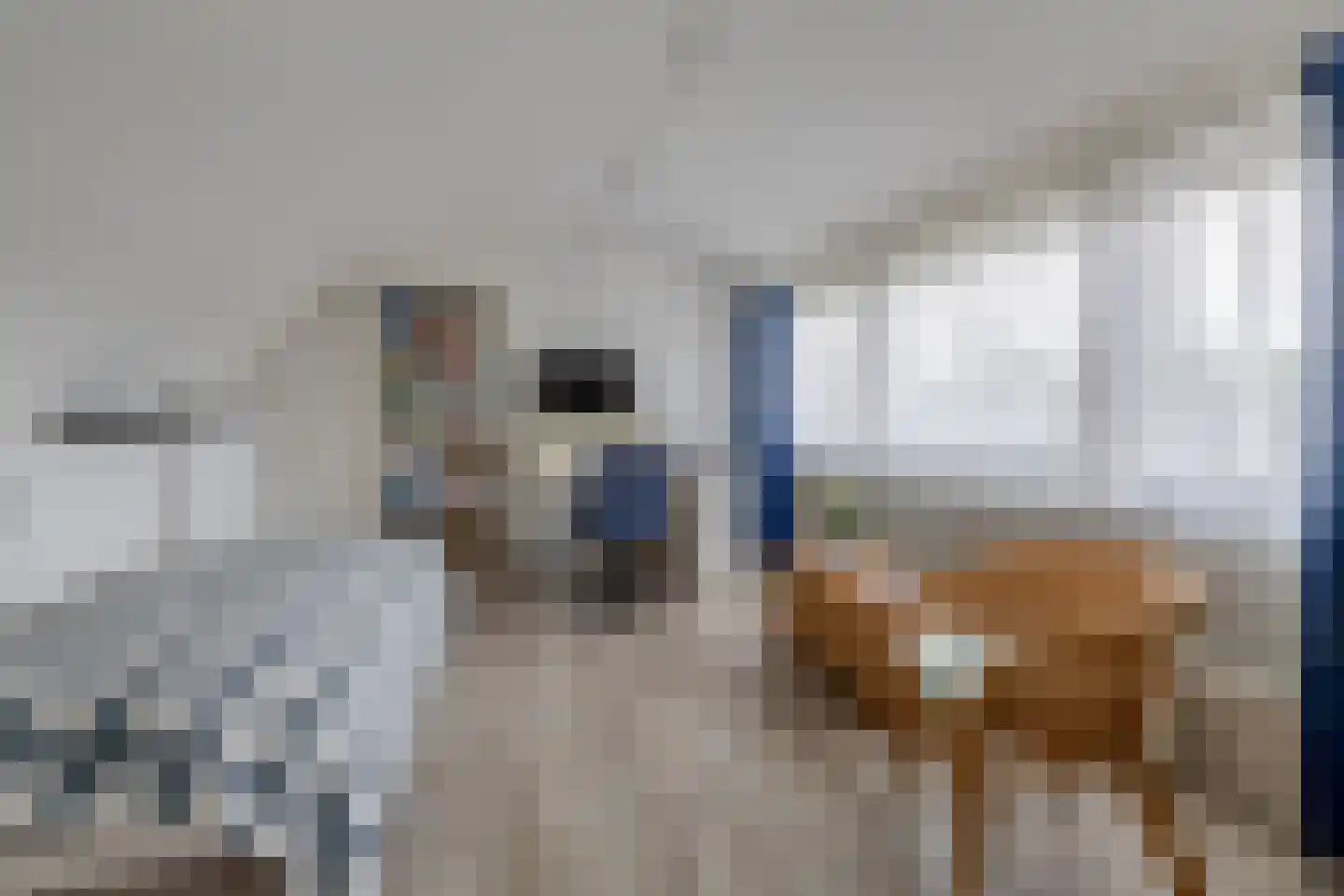Cerise 3 Wageningen thumbnail 32
