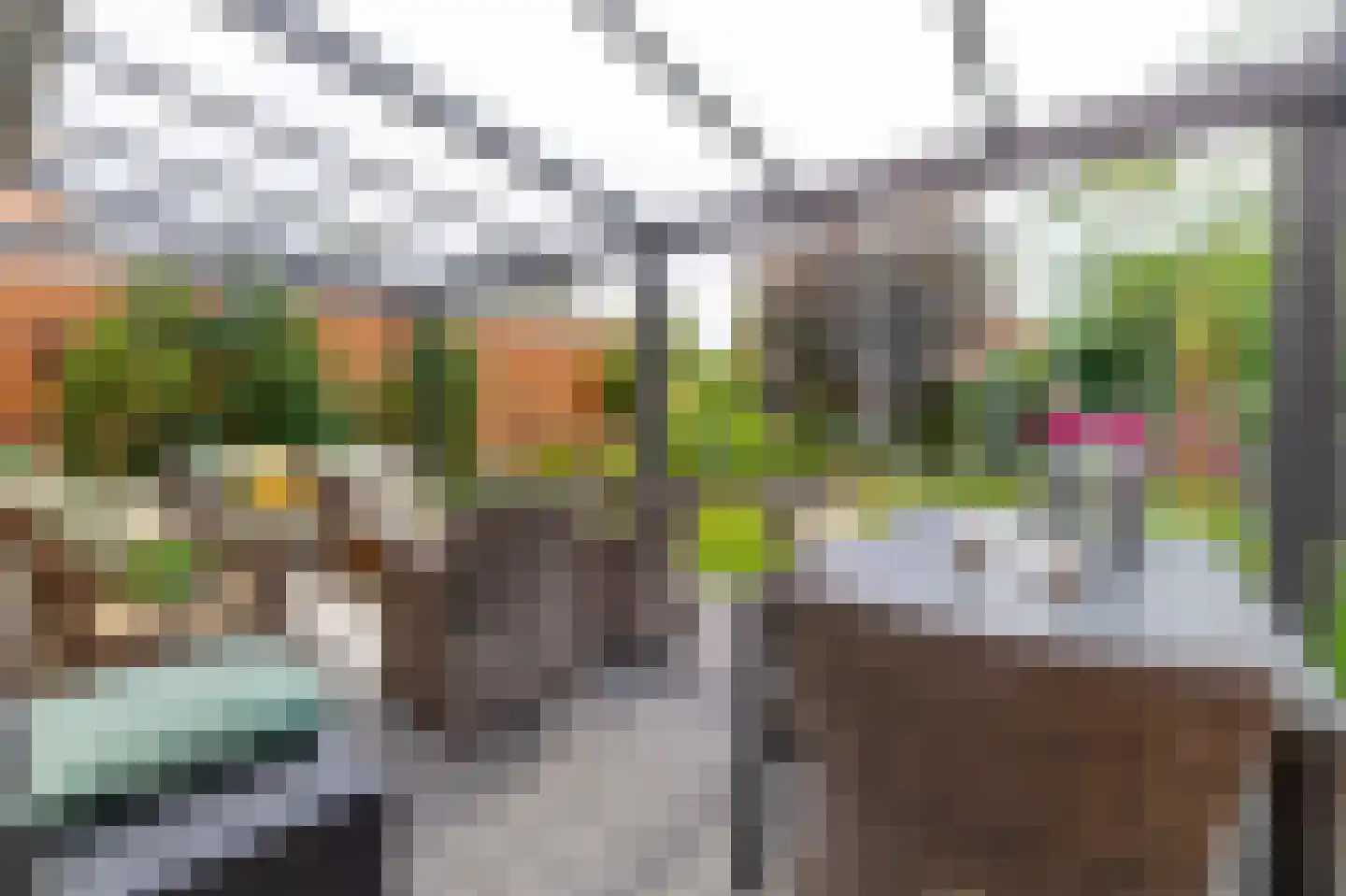 Cerise 3 Wageningen thumbnail 33