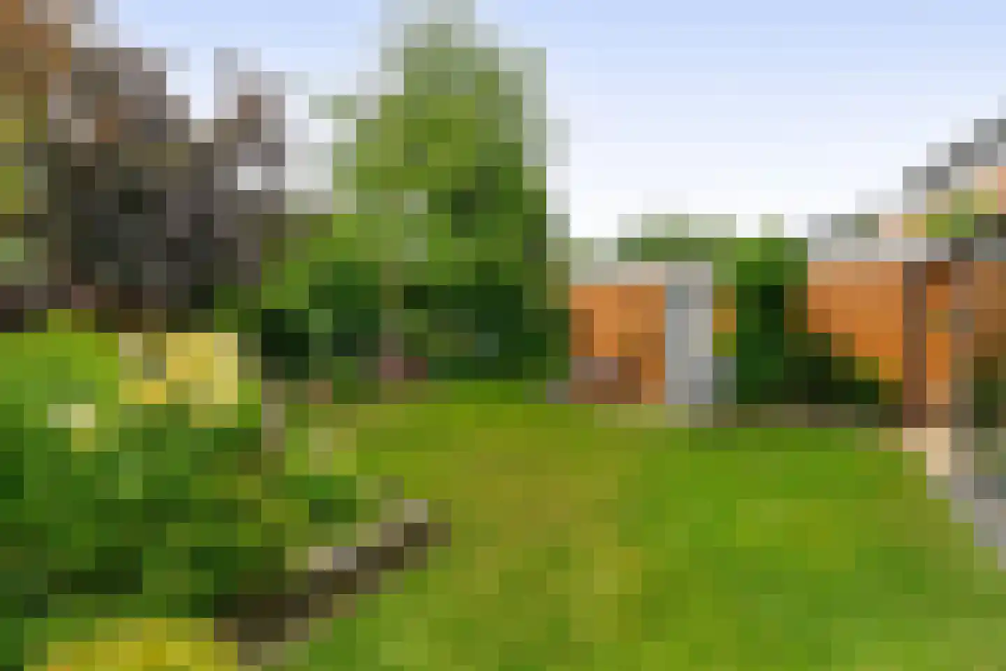 Cerise 3 Wageningen thumbnail 38