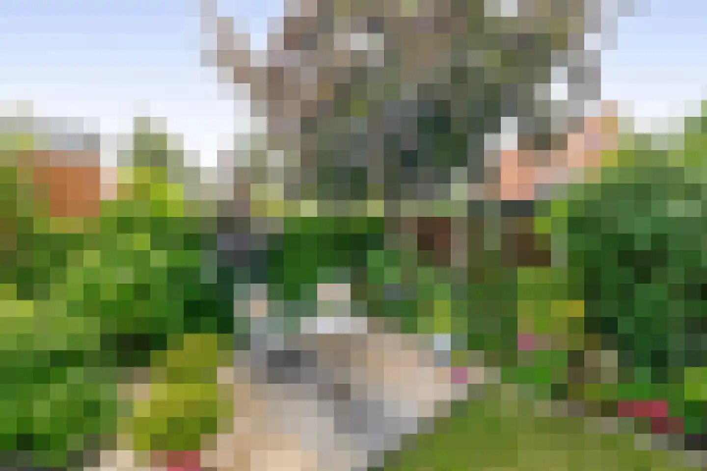 Cerise 3 Wageningen thumbnail 40