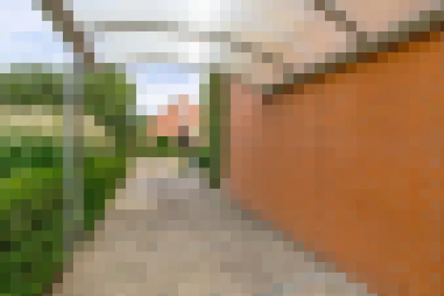 Cerise 3 Wageningen thumbnail 45