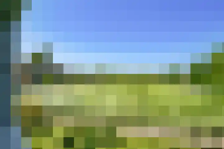 Cervanteslaan 13 Utrecht thumbnail 23