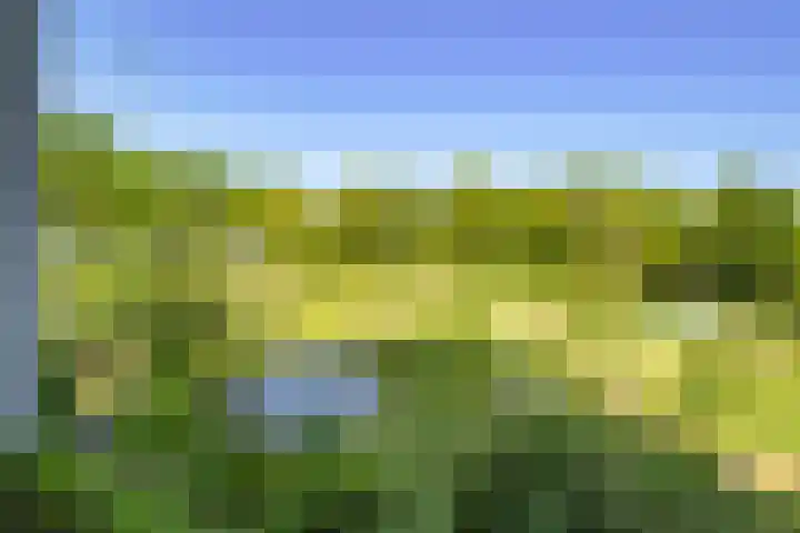 Cervanteslaan 13 Utrecht thumbnail 25