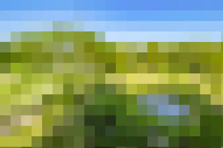 Cervanteslaan 13 Utrecht thumbnail 4