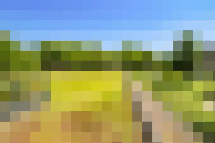 Cervanteslaan 13 Utrecht thumbnail 44