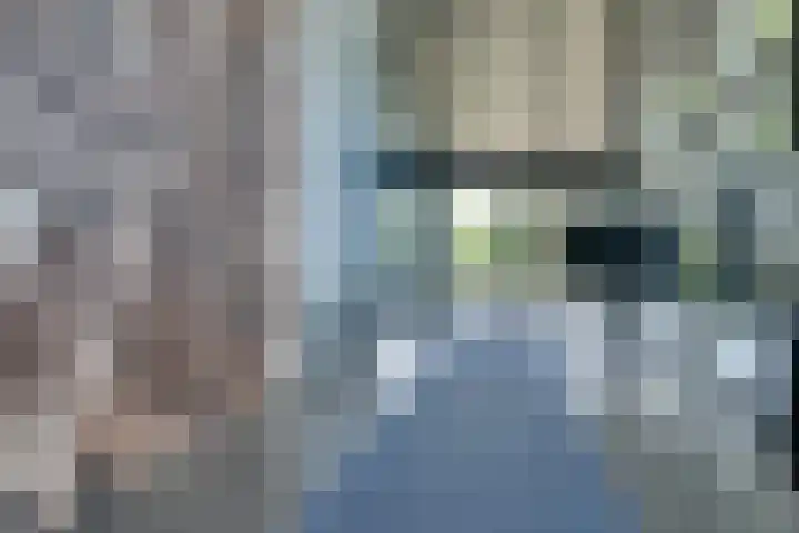 Cervanteslaan 13 Utrecht thumbnail 6