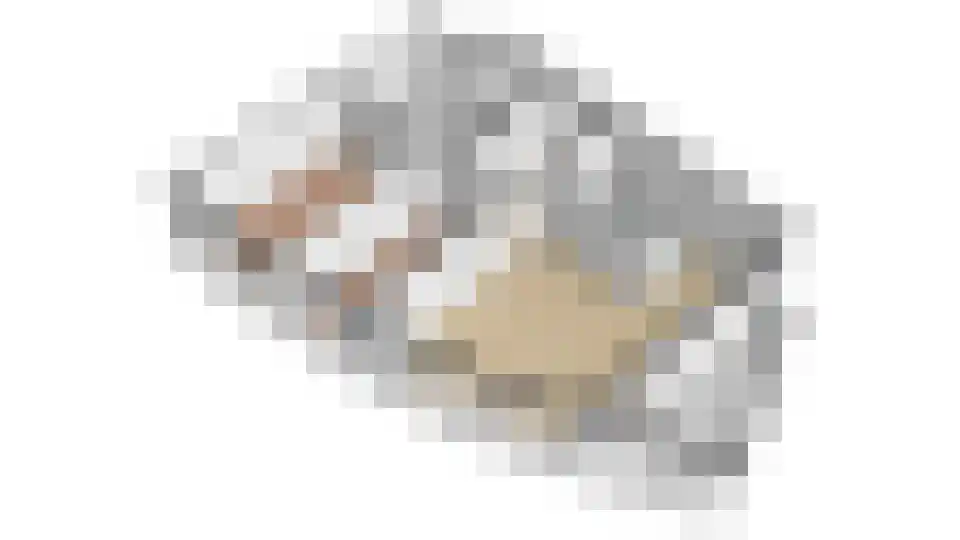 Cervanteslaan 25 Utrecht thumbnail 61