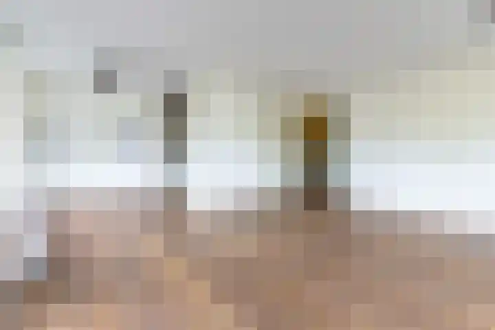 Cervanteslaan 5 Utrecht thumbnail 13