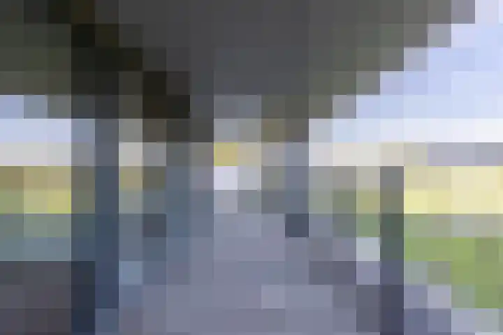 Cervanteslaan 5 Utrecht thumbnail 17