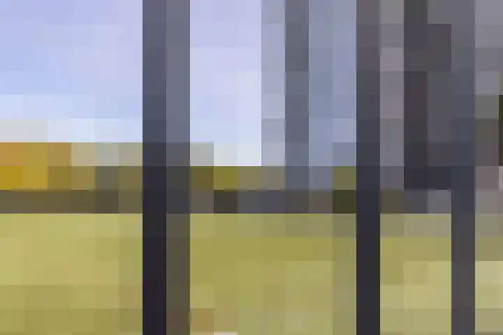 Cervanteslaan 5 Utrecht thumbnail 20