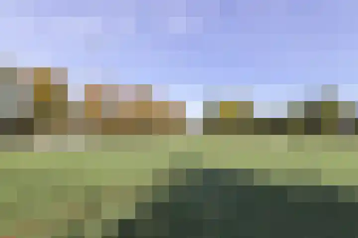 Cervanteslaan 5 Utrecht thumbnail 34