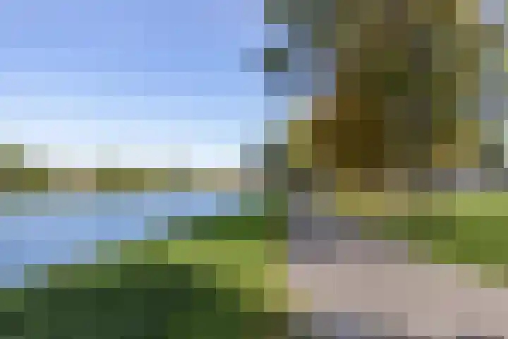 Cervanteslaan 5 Utrecht thumbnail 36