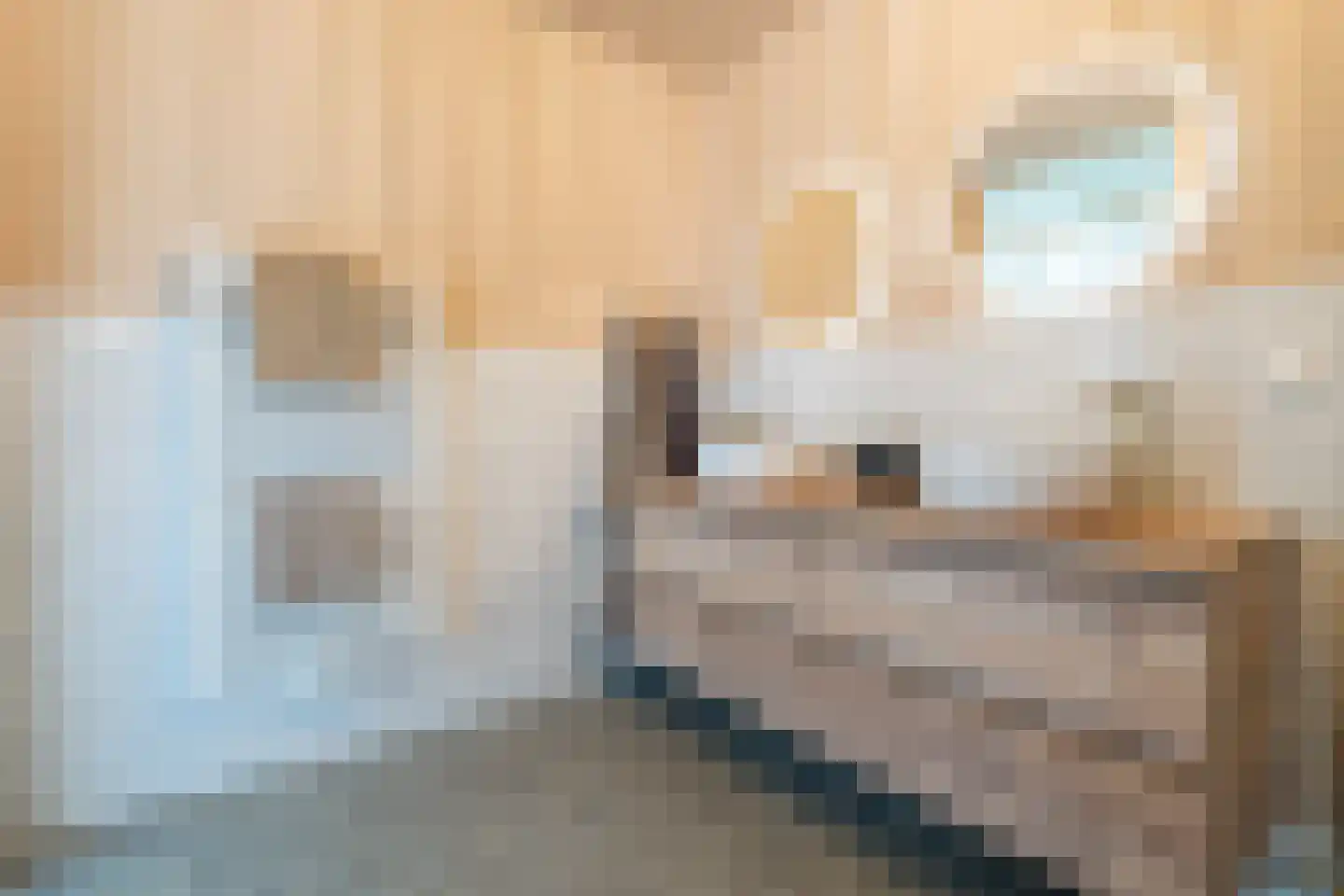 Cervanteslaan 55 Utrecht thumbnail 24