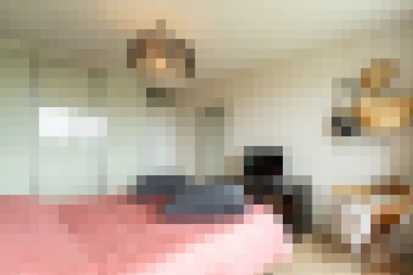 Cervanteslaan 55 Utrecht thumbnail 26