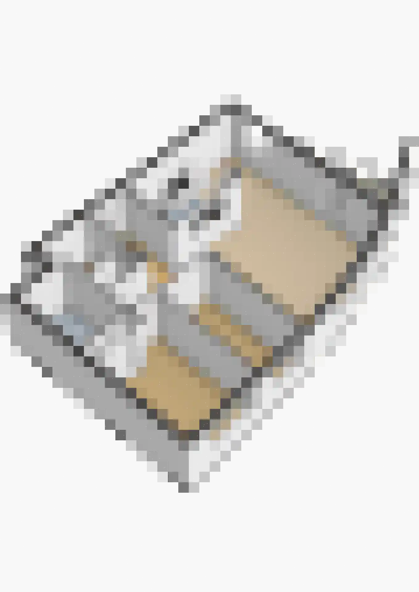 Cervanteslaan 55 Utrecht thumbnail 41