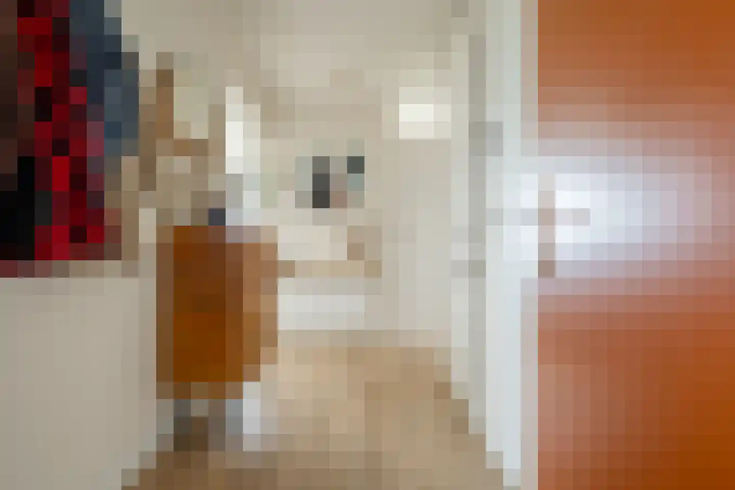 Cervanteslaan 55 Utrecht thumbnail 7