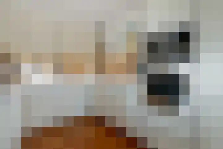 Cervanteslaan 57 Utrecht thumbnail 15