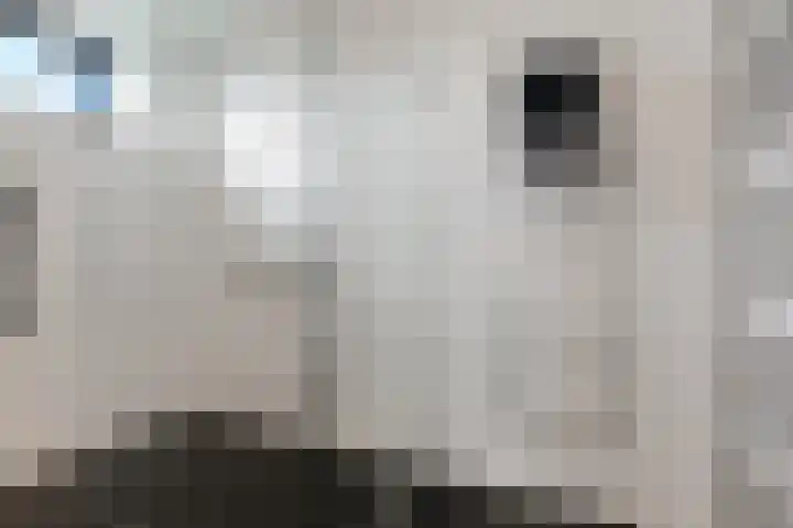 Cervanteslaan 57 Utrecht thumbnail 22