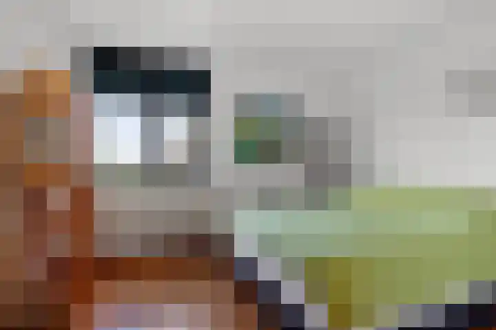 Cervanteslaan 57 Utrecht thumbnail 24