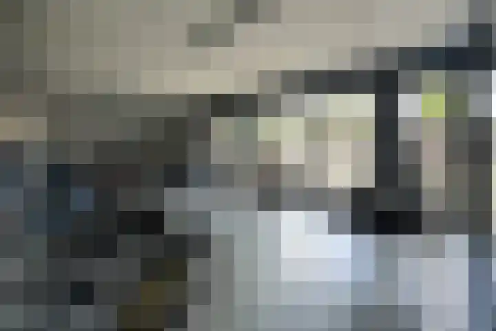 Cervanteslaan 57 Utrecht thumbnail 33