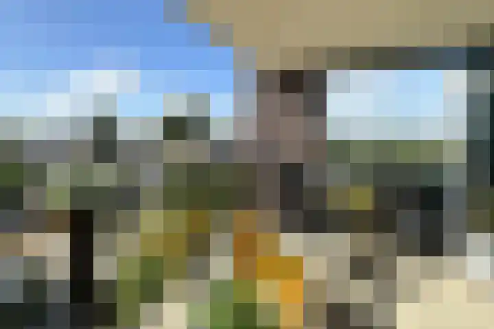 Cervanteslaan 57 Utrecht thumbnail 6