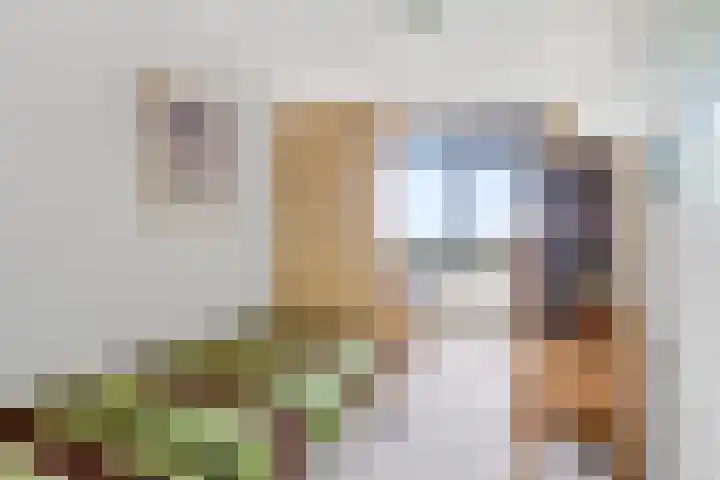 Cervanteslaan 75 Utrecht thumbnail 28