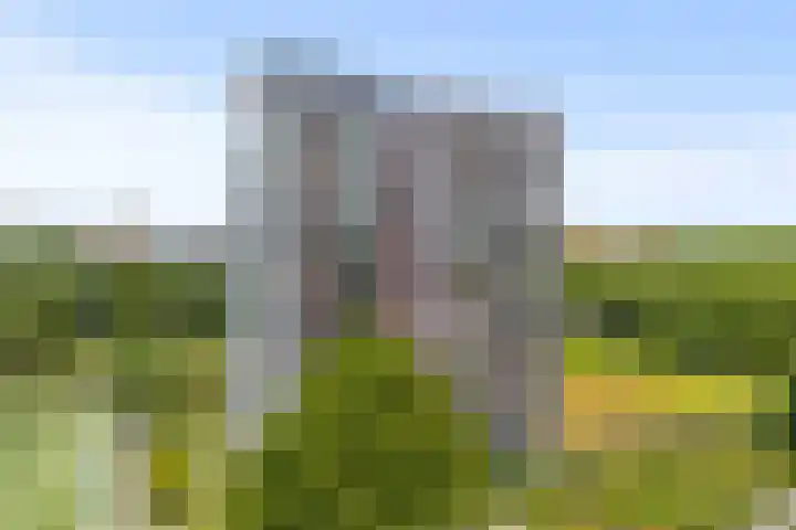 Cervanteslaan 75 Utrecht thumbnail 39