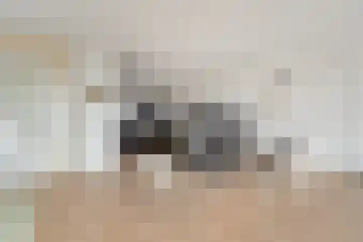 Cervanteslaan 77 Utrecht thumbnail 11