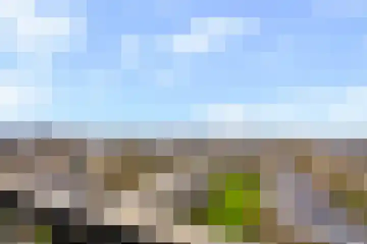 Cervanteslaan 77 Utrecht thumbnail 18
