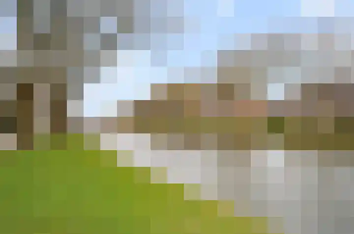 Cervanteslaan 77 Utrecht thumbnail 41