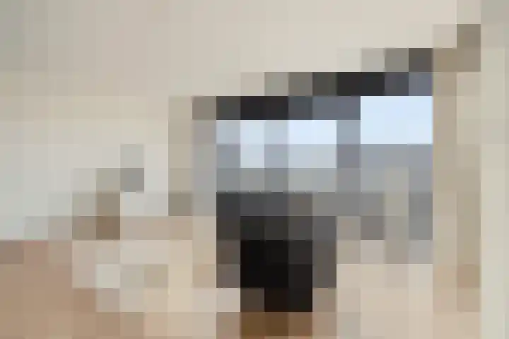 Cervanteslaan 77 Utrecht thumbnail 7