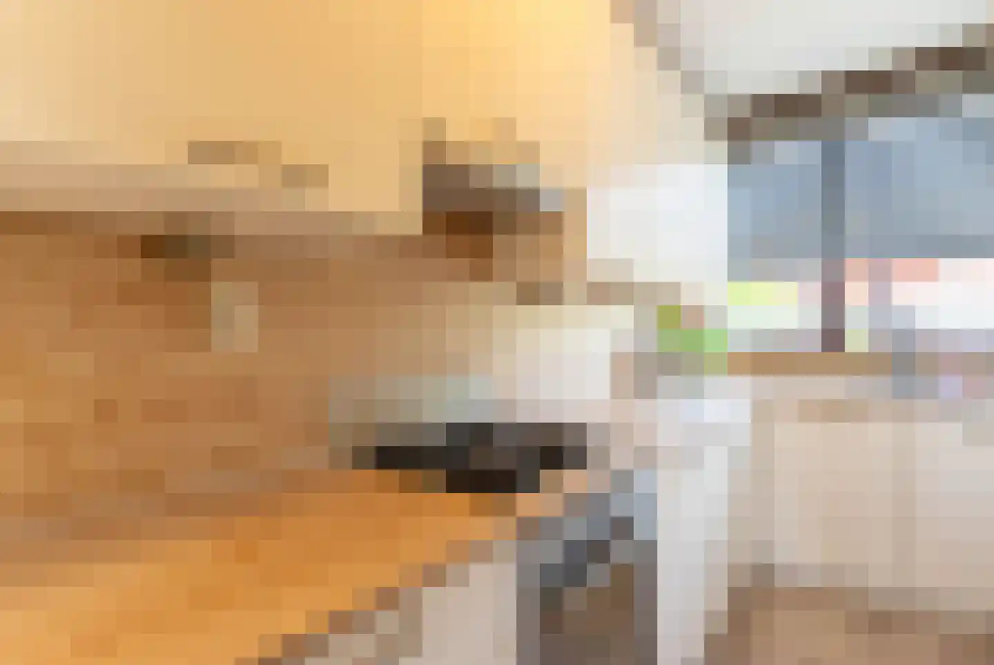 Cervantesstraat 32 Rotterdam thumbnail 4