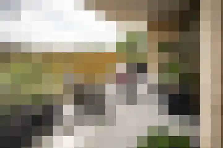 César Francklaan 151 Heemstede thumbnail 10