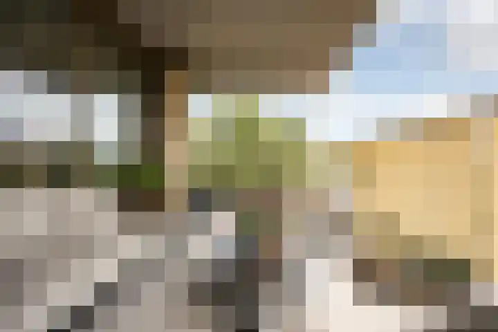 César Francklaan 151 Heemstede thumbnail 8