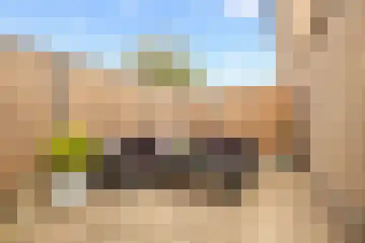César Francklaan 16 Waalwijk thumbnail 18