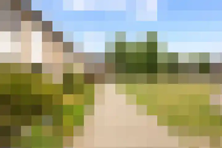 César Francklaan 16 Waalwijk thumbnail 5
